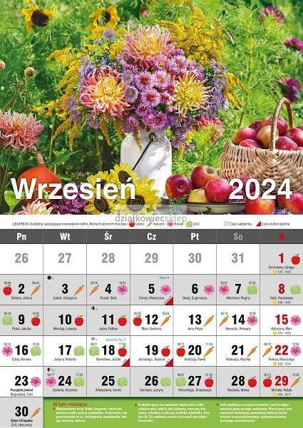 Pakiet kalendarz książkowy + ścienny 2024